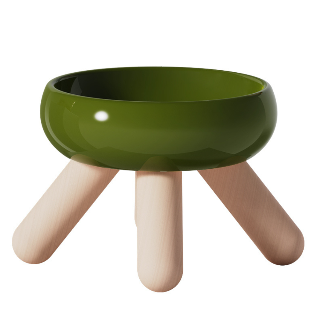 Ceramic Elevated Food Bowl