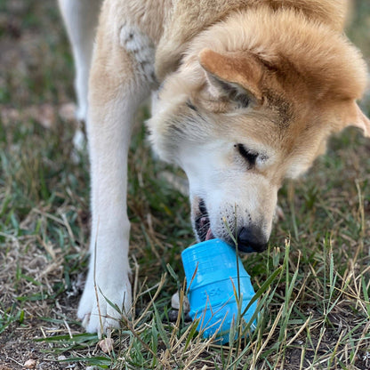 Ice Cream Cone Durable PUP-X Chew Toy and Treat Dispenser