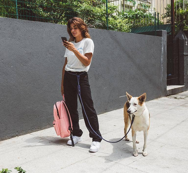 Deep Blue | Hands-Free Leash