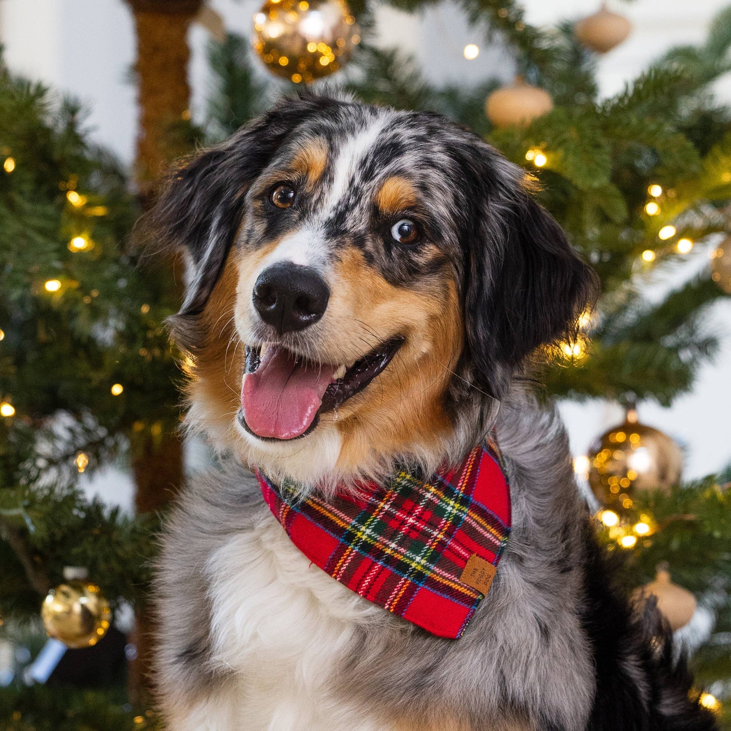 Foggy Dog Tartan Plaid Flannel Bandana