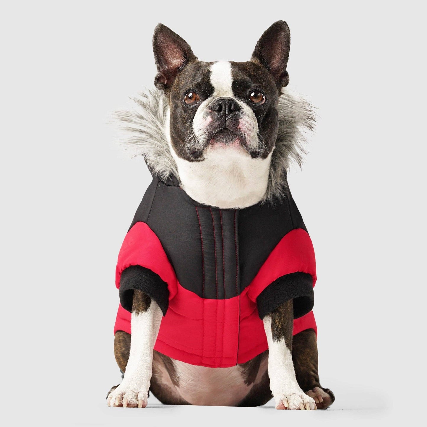 True North Dog Parka