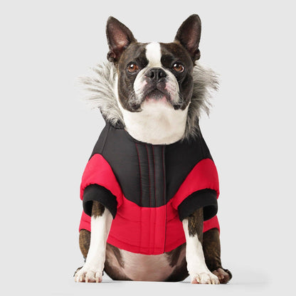 True North Dog Parka