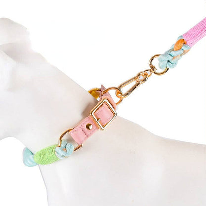Loofie - Colorful Dog Collar & Leash