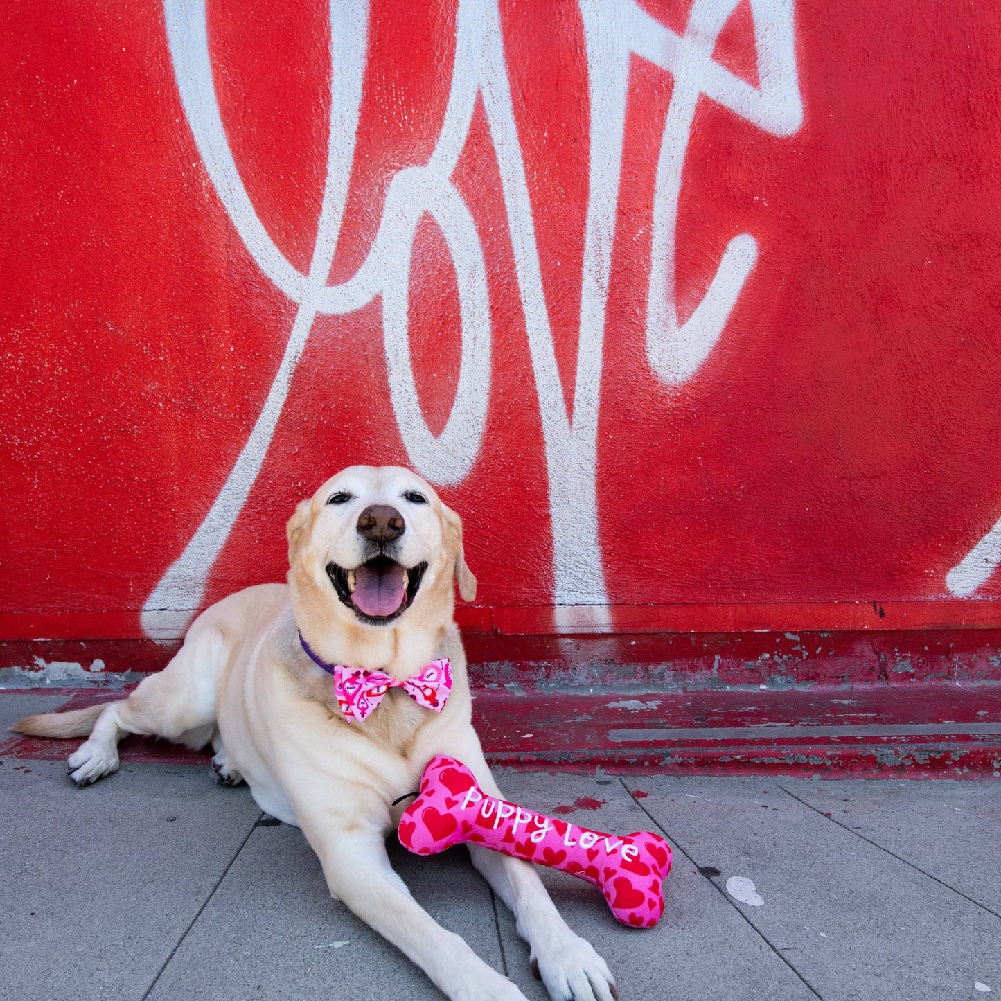My Puppy Love Bone Dog Toy