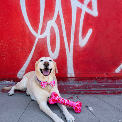 My Puppy Love Bone Dog Toy
