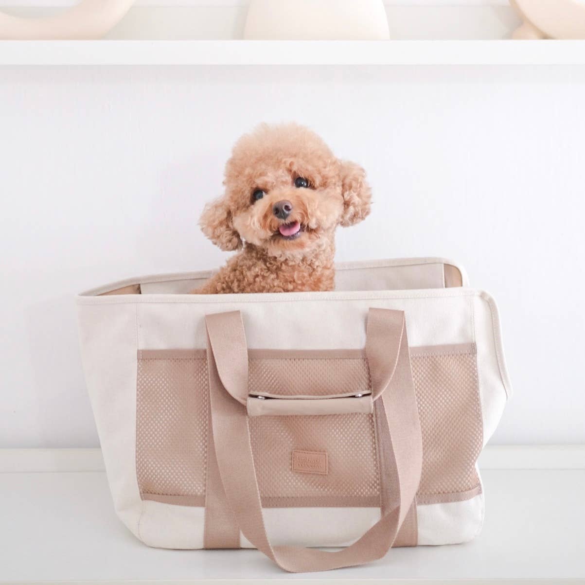SUBWAY PET CARRIER