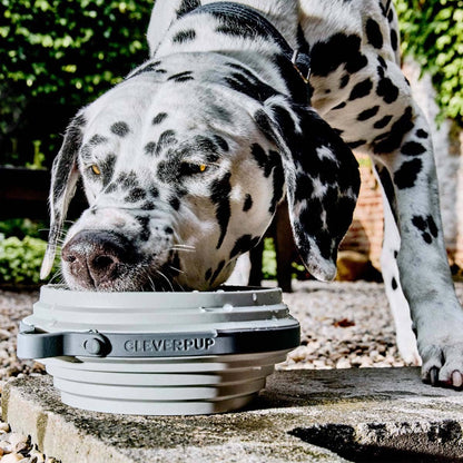 Nomad Collapsible Dog Bowl