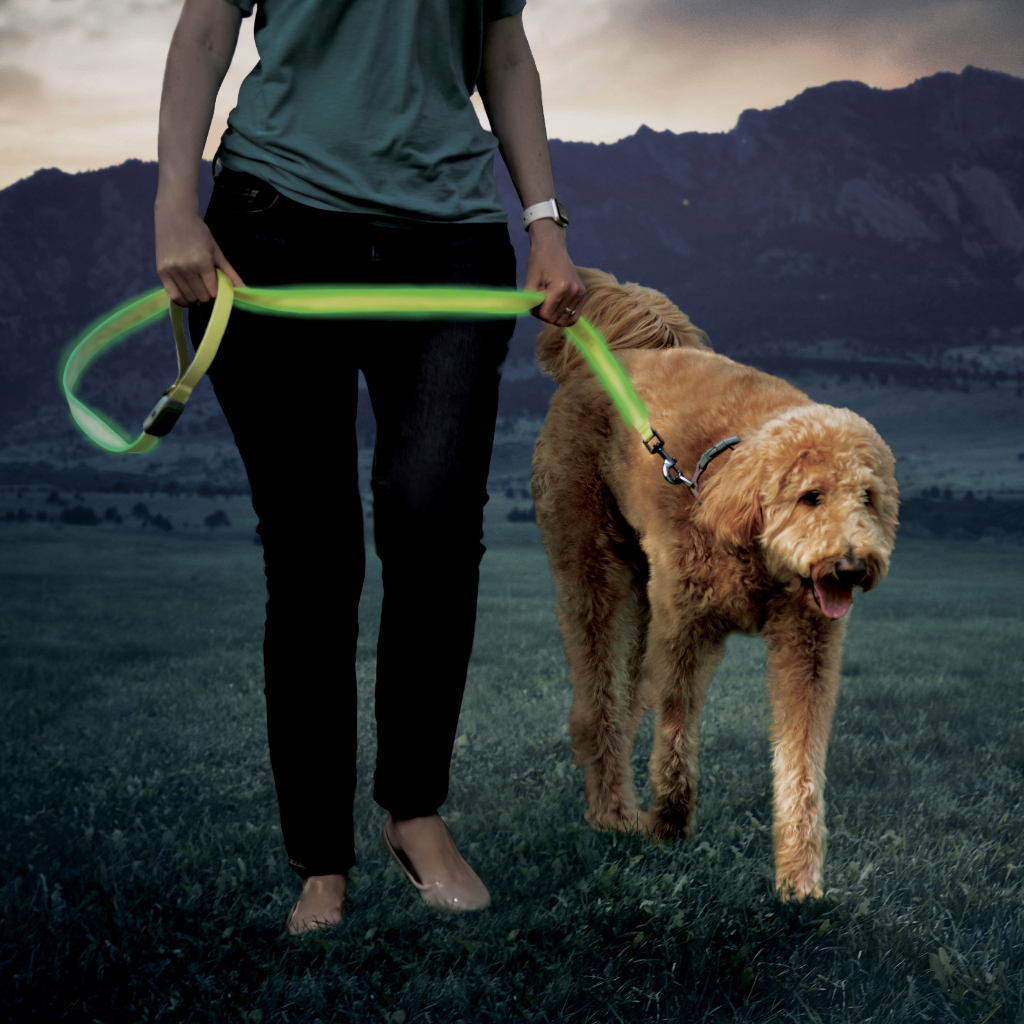 Nite Ize Rechargeable LED Leash Lime Green