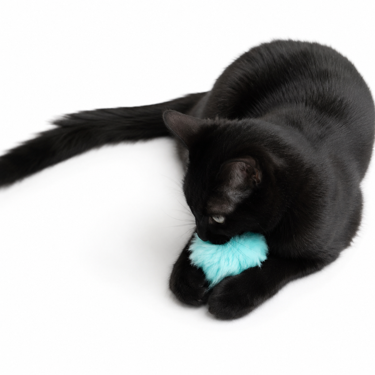 Puffy Poof Cat Toy