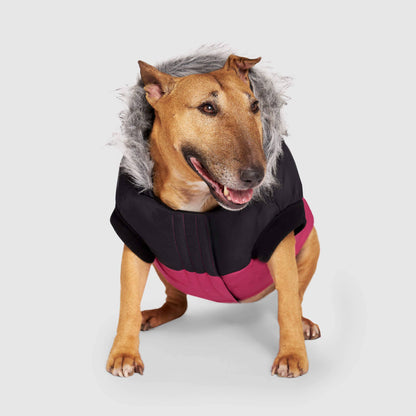 True North Dog Parka