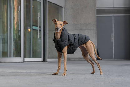 Waterproof Dog Puffer