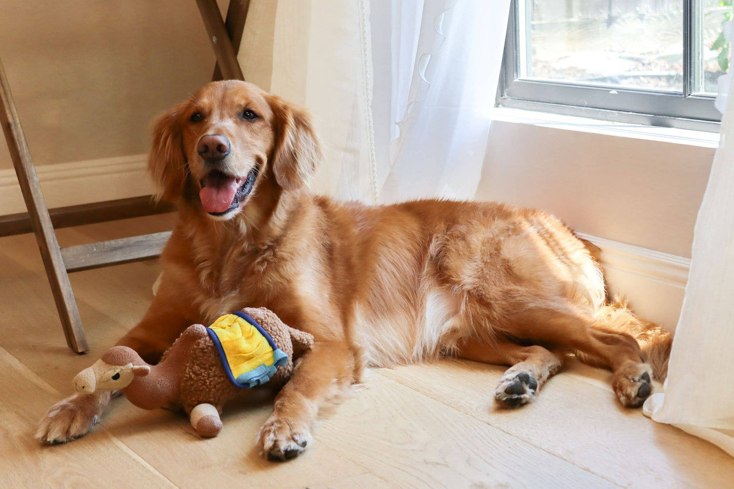 Sahara Camel Snuffle Toy