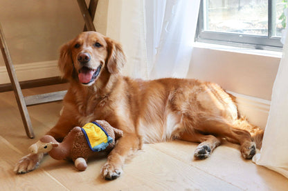 Sahara Camel Snuffle Toy