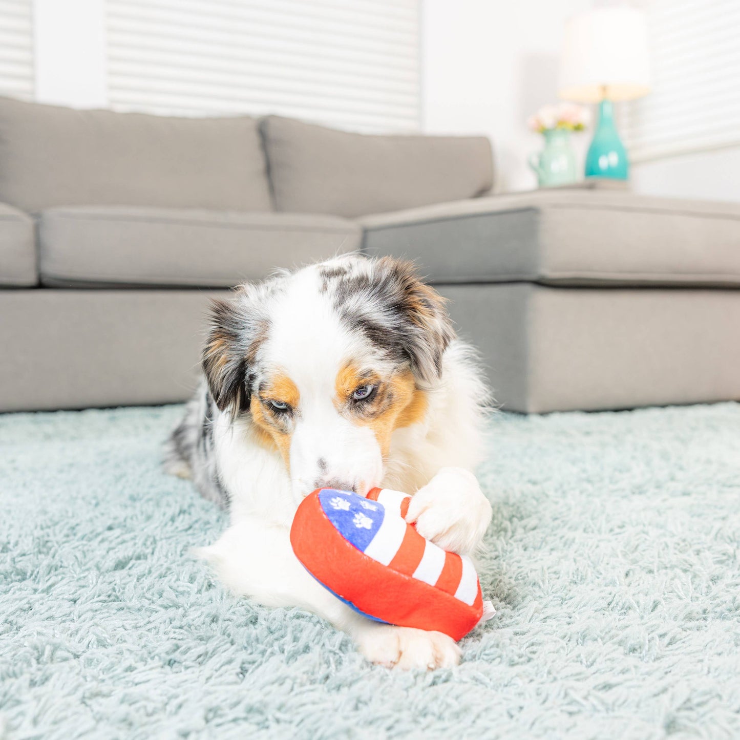 Paws & Stripes Heart Dog Toy