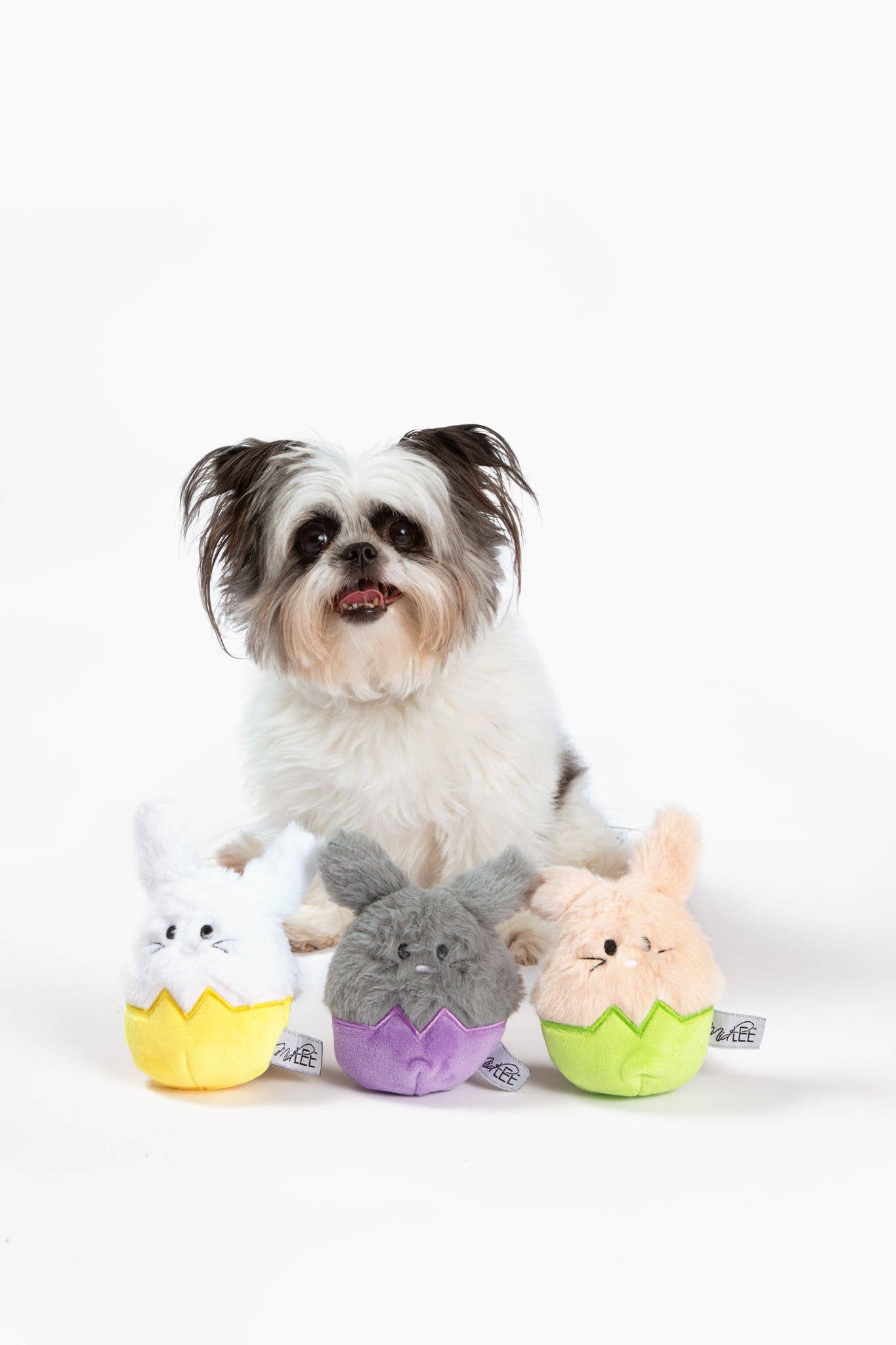 Midlee Easter Bunny Egg Toys
