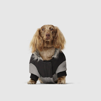 True North Dog Parka