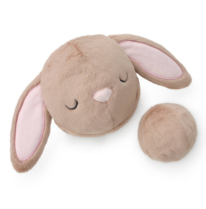 Bunny 2-in-1 Bounce Dog Toy