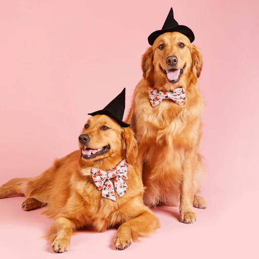 The Foggy Dog Lady Bow