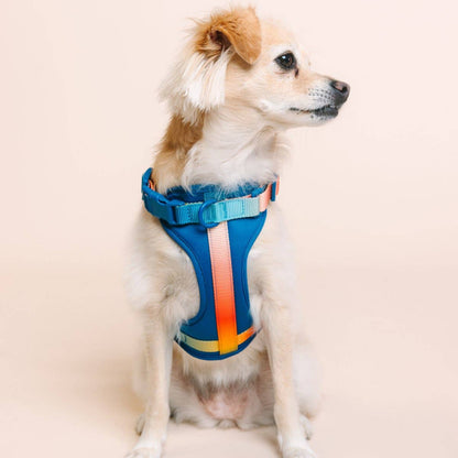 Atlas Dog Harness | Blue