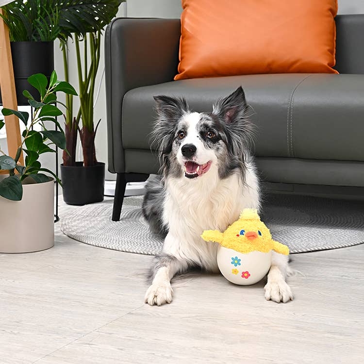 HugSmart Pet - Hoppin' Easter | Baby Chick - Dog Plush Toy