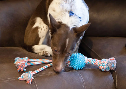 ThoozyPet Squid Tails Tug Spike Ball Orange