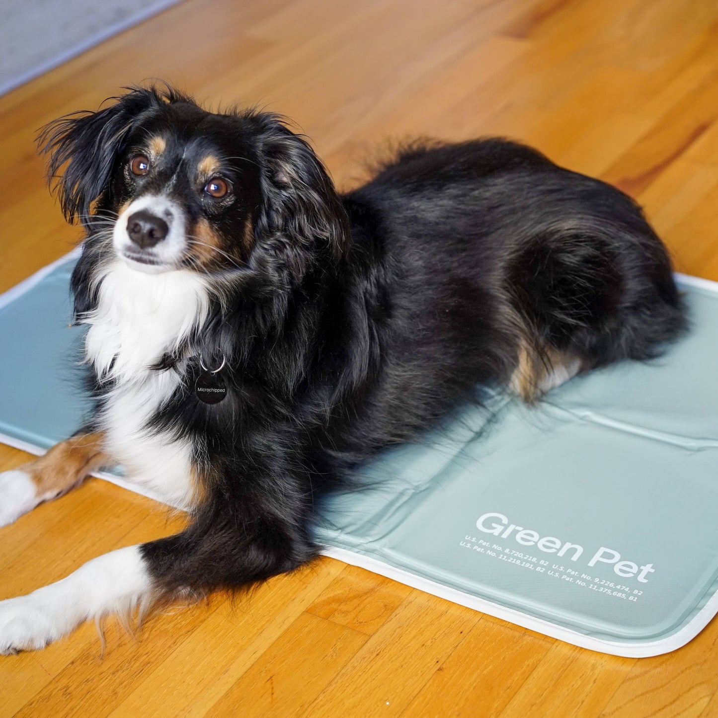 Cool Pet Pad