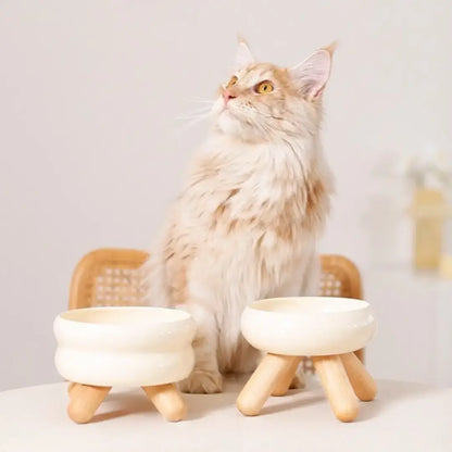 Elevated Ceramic Pet Water Bowl