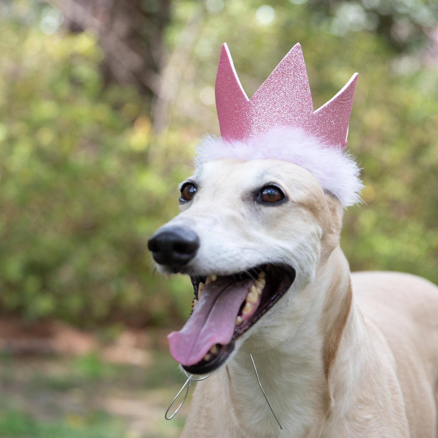 Party Crown Pink