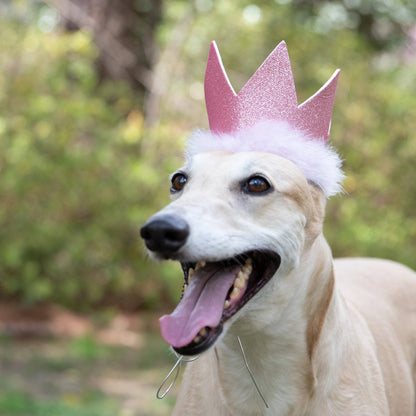 Party Crown Pink