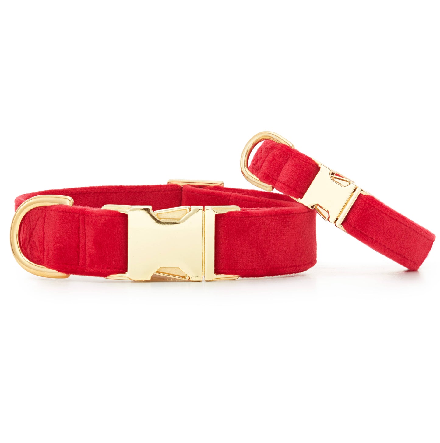 Foggy Dog Cranberry Velvet Collar