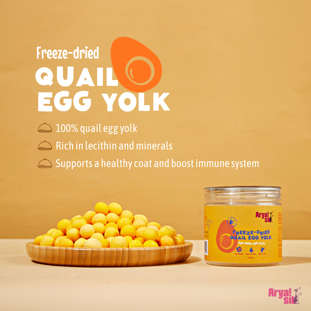Arya Sit Freeze-Dried Egg Yolk