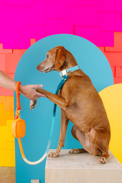 Beau Rope Dog Leash | Blue Orange