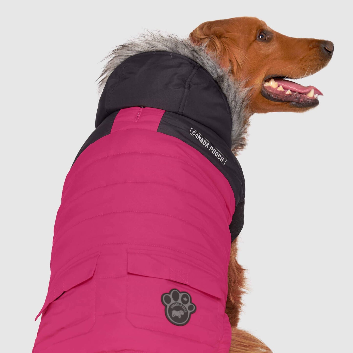 True North Dog Parka