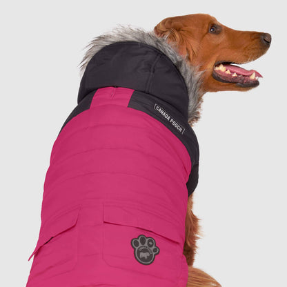 True North Dog Parka