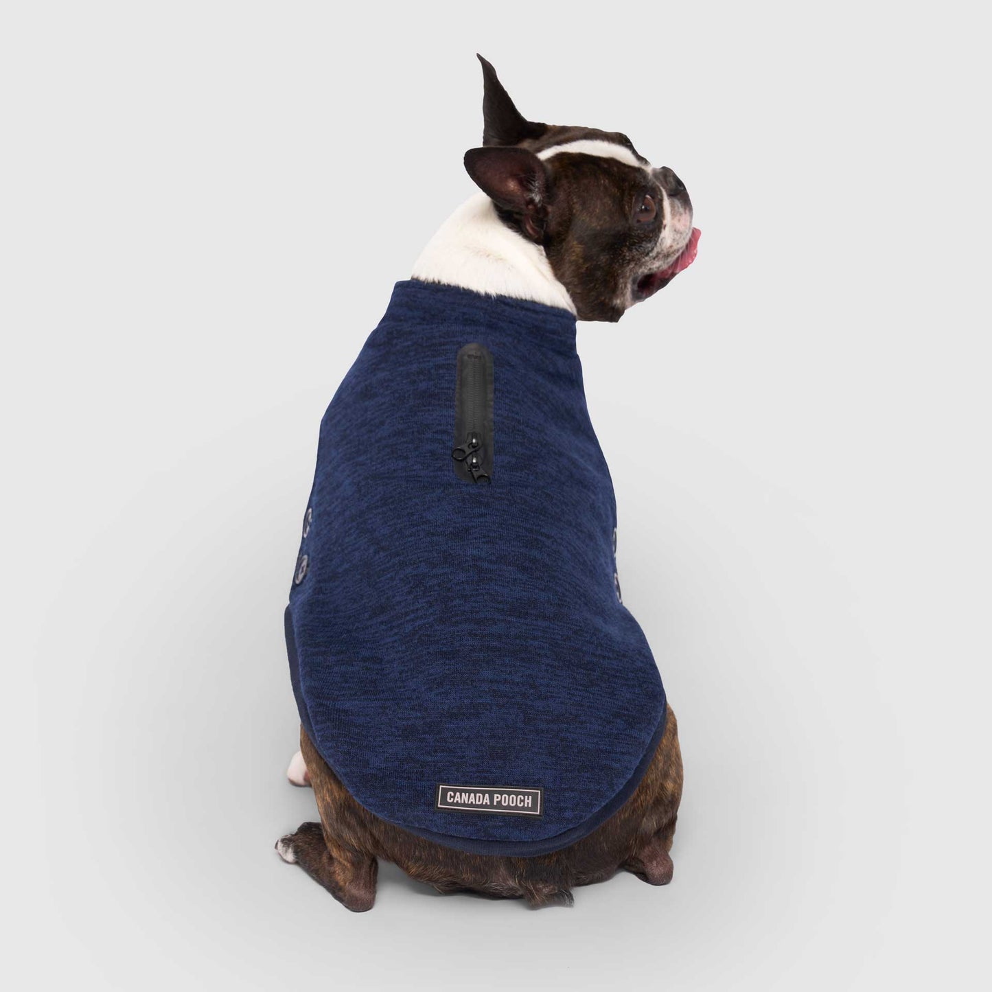 Waterproof Sweater- Dog Sweater