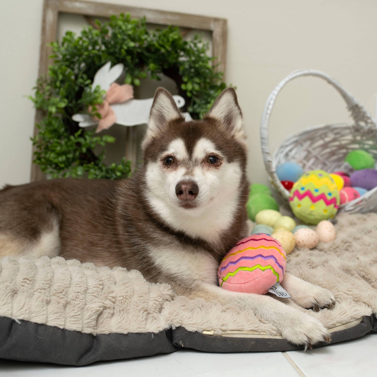 Midlee Easter Egg Plush Dog Toy - Pink