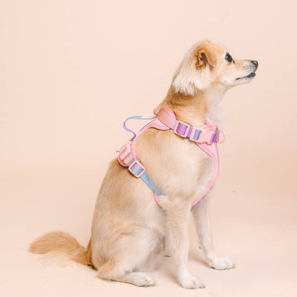 Diem Dog Harness | Pink