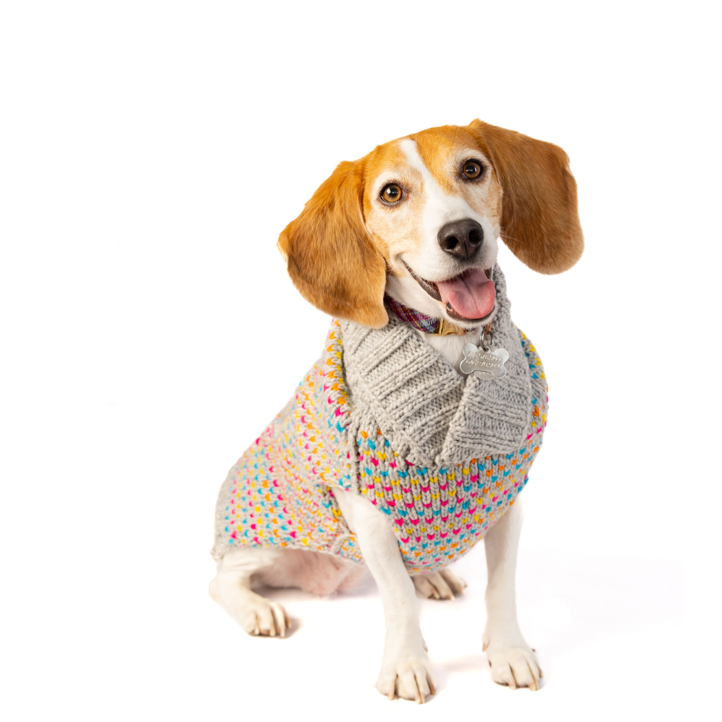 Sprinkles Dog & Cat Sweater