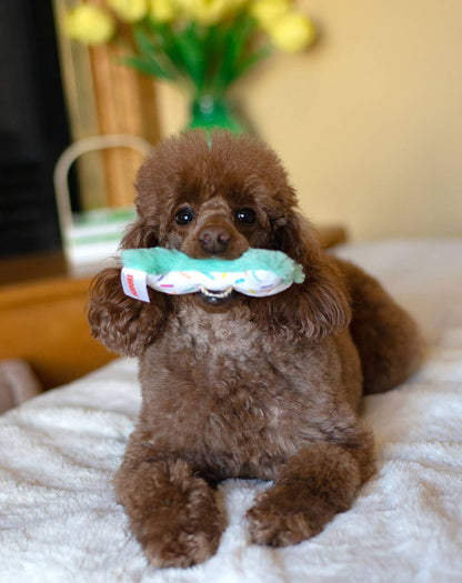 ThoozyPet Birthday 3pk Small Toys 5.5"