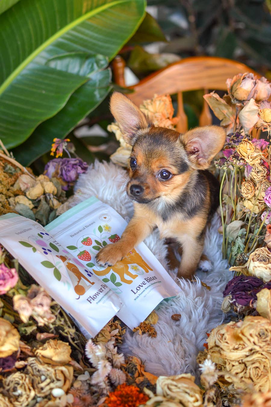 Love Bites - Organic Dog Treats, Strawberry & Peanut Butter