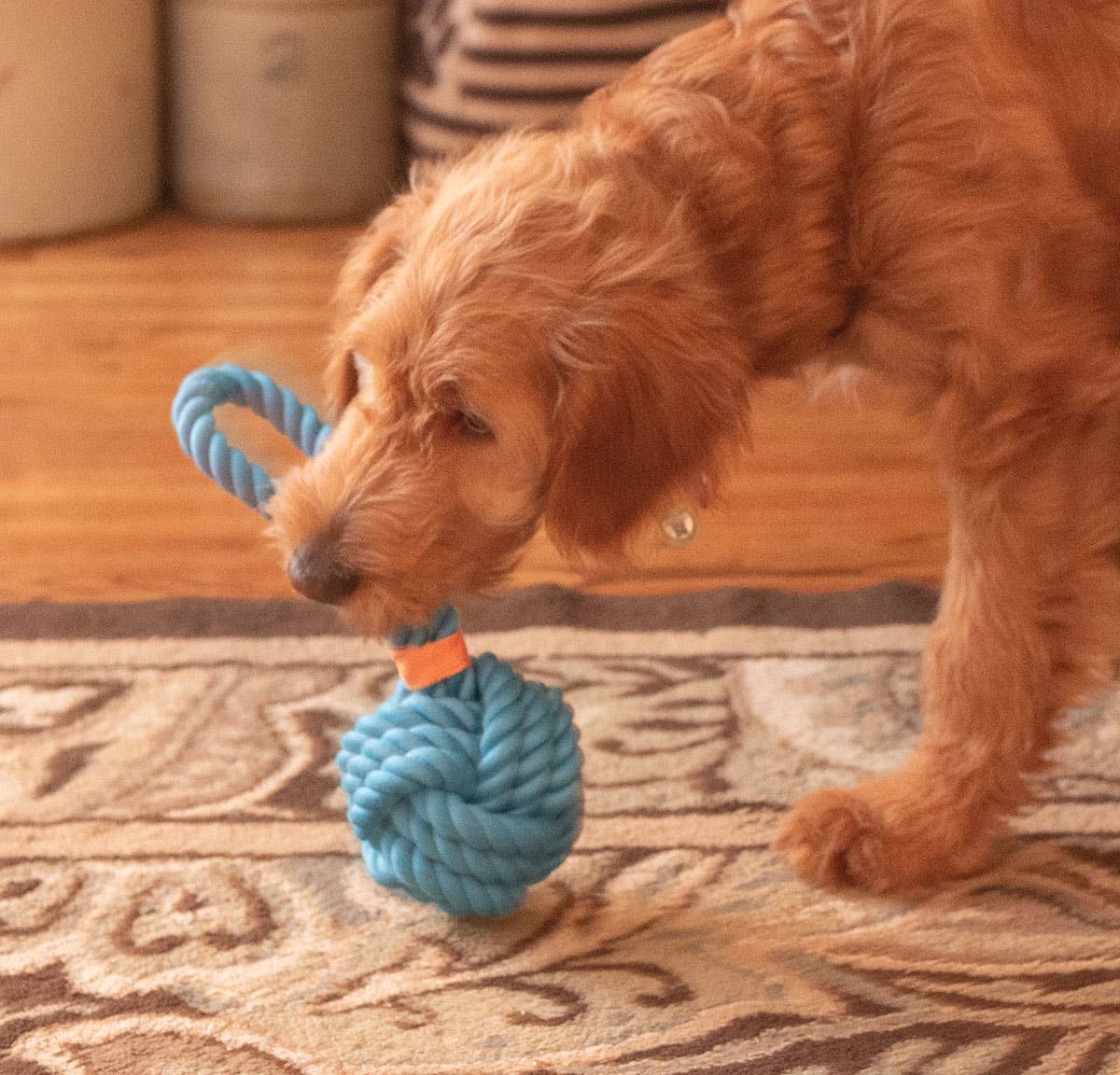 ThoozyPet Ball Tug Rope Blue 5"