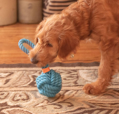 ThoozyPet Ball Tug Rope Blue 5"