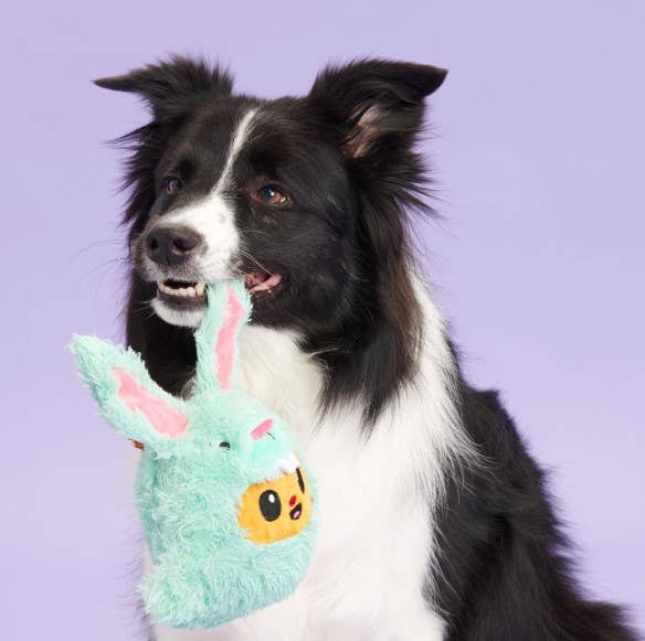 BARK Buddy Easter Plush Dog Toy