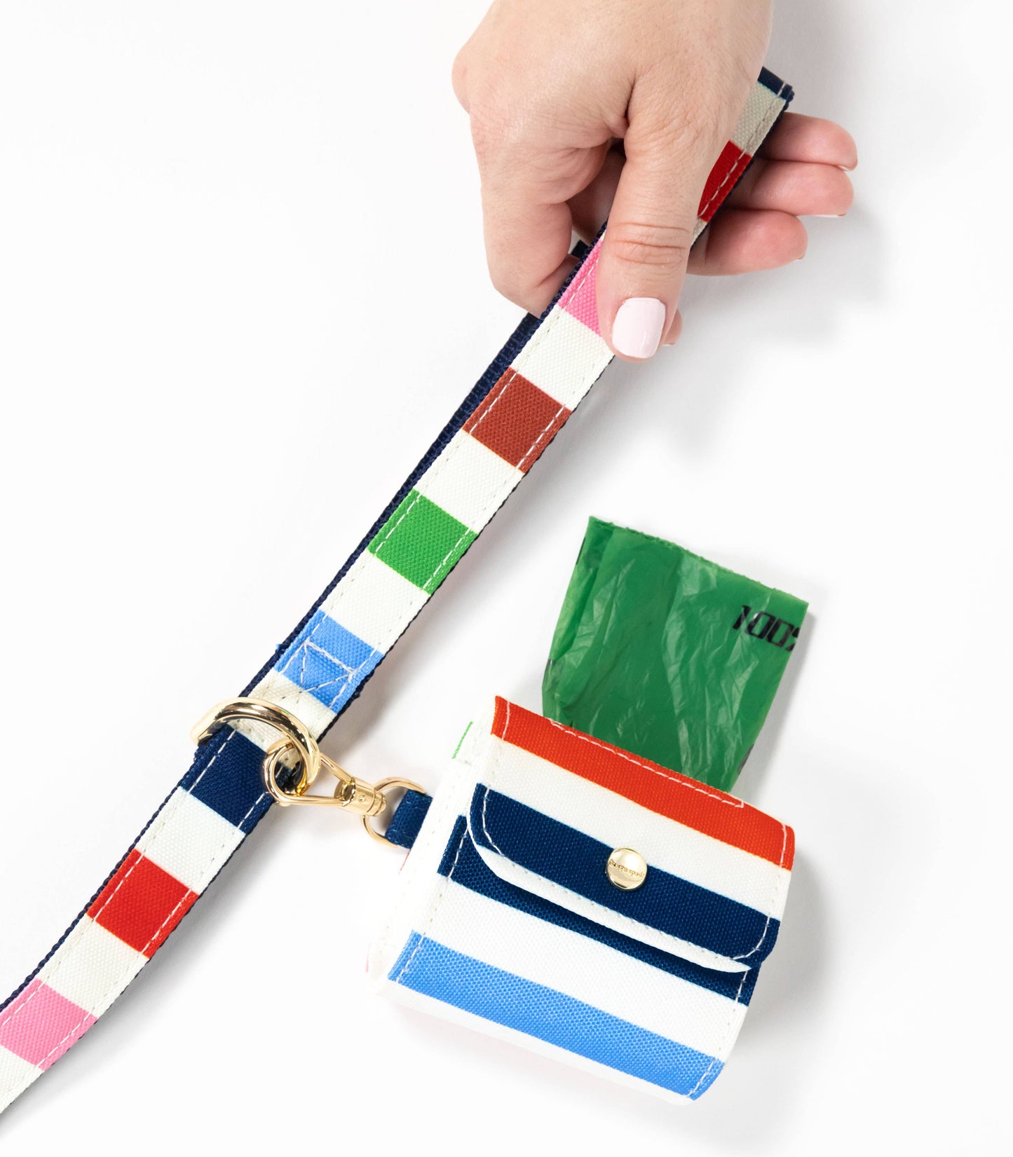 Kate Spade Large Dog Leash, Adventure Stripe