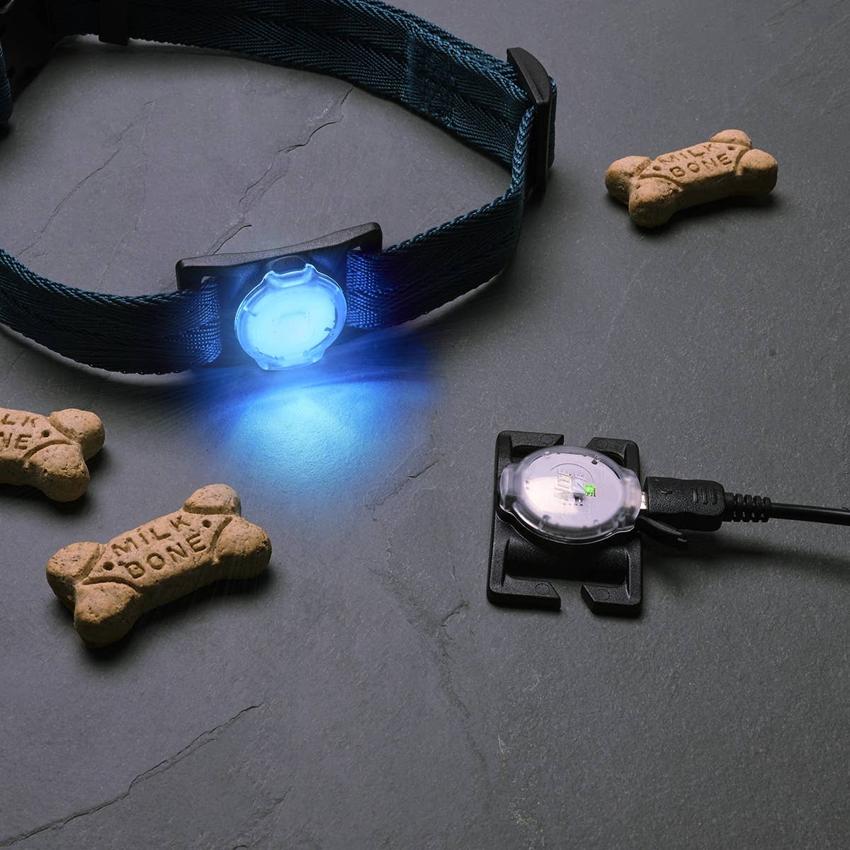 Nite Ize Rechargeable Pet Light Disc-O Tech™