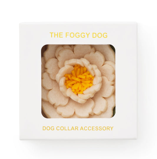 Daisy Dog Collar Flower