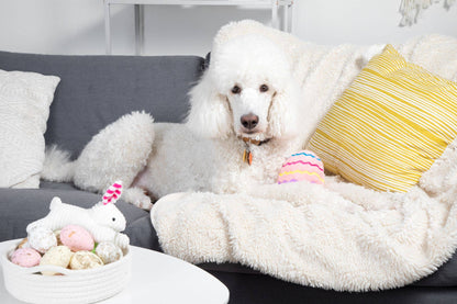 Midlee Easter Egg Plush Dog Toy - Pink