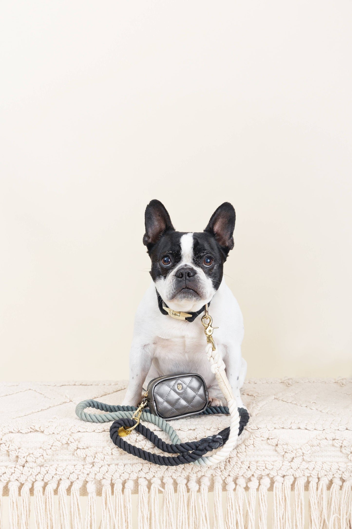 Cairo Rope Dog Leash | Black Grey