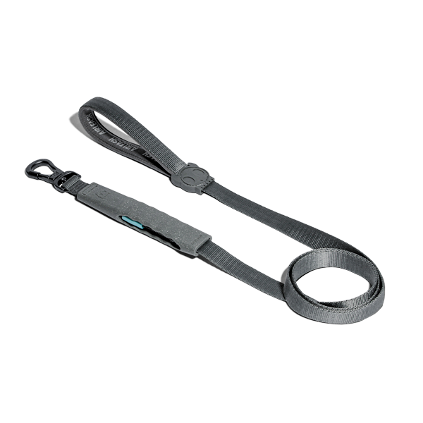 Carbon | Airleash