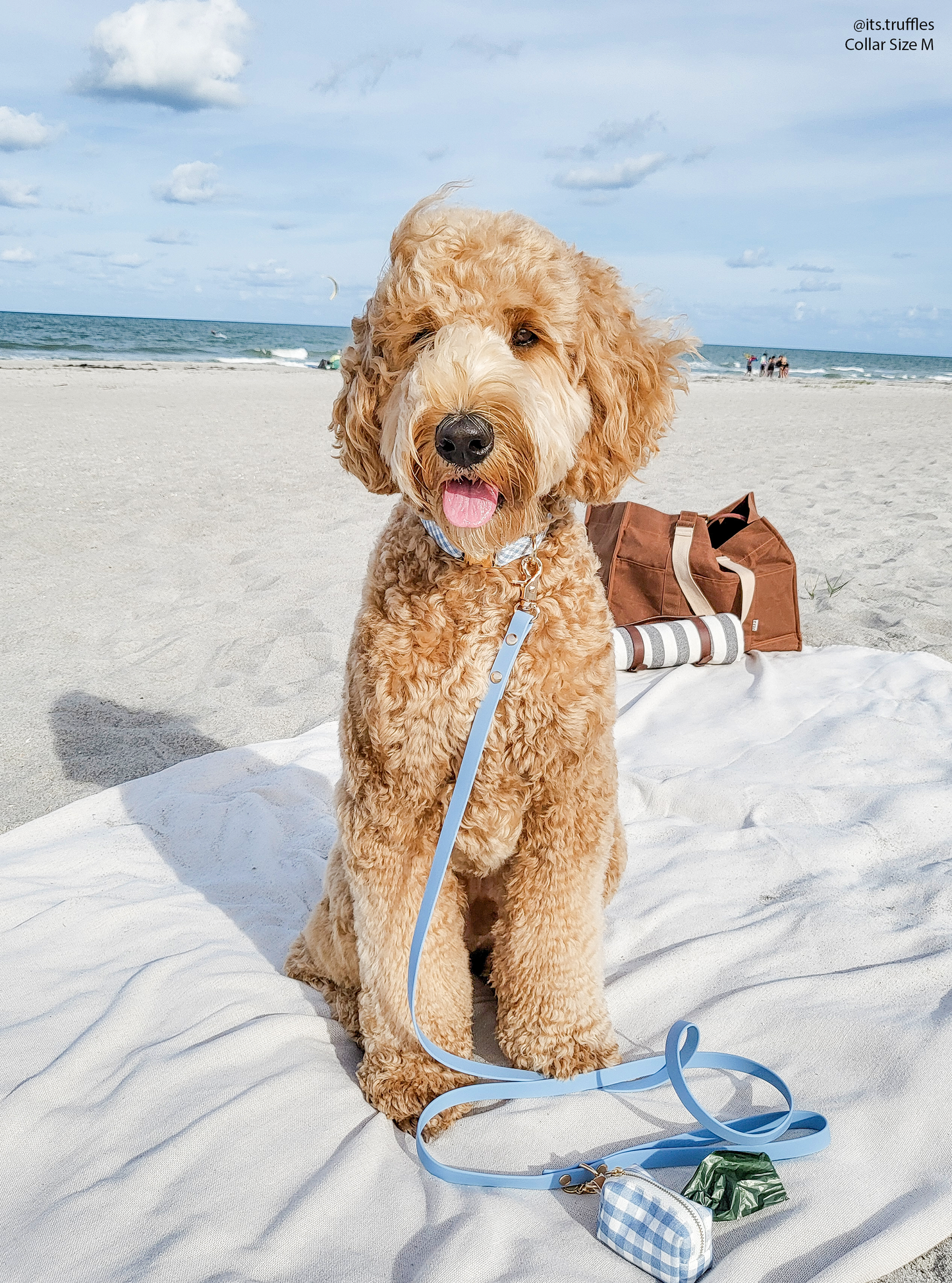 Dog Leash Waterproof - Malibu Blue | 4 ft, 5 ft, 6 ft